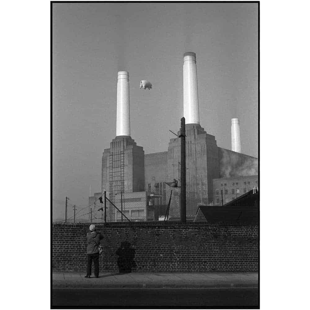 Pink Floyd Animals Battersea Power Station by Carinthia West.