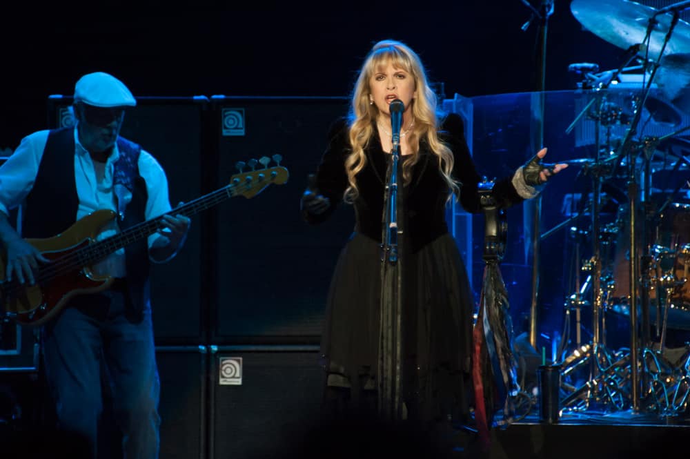 The Life And Times Of Stevie Nicks
