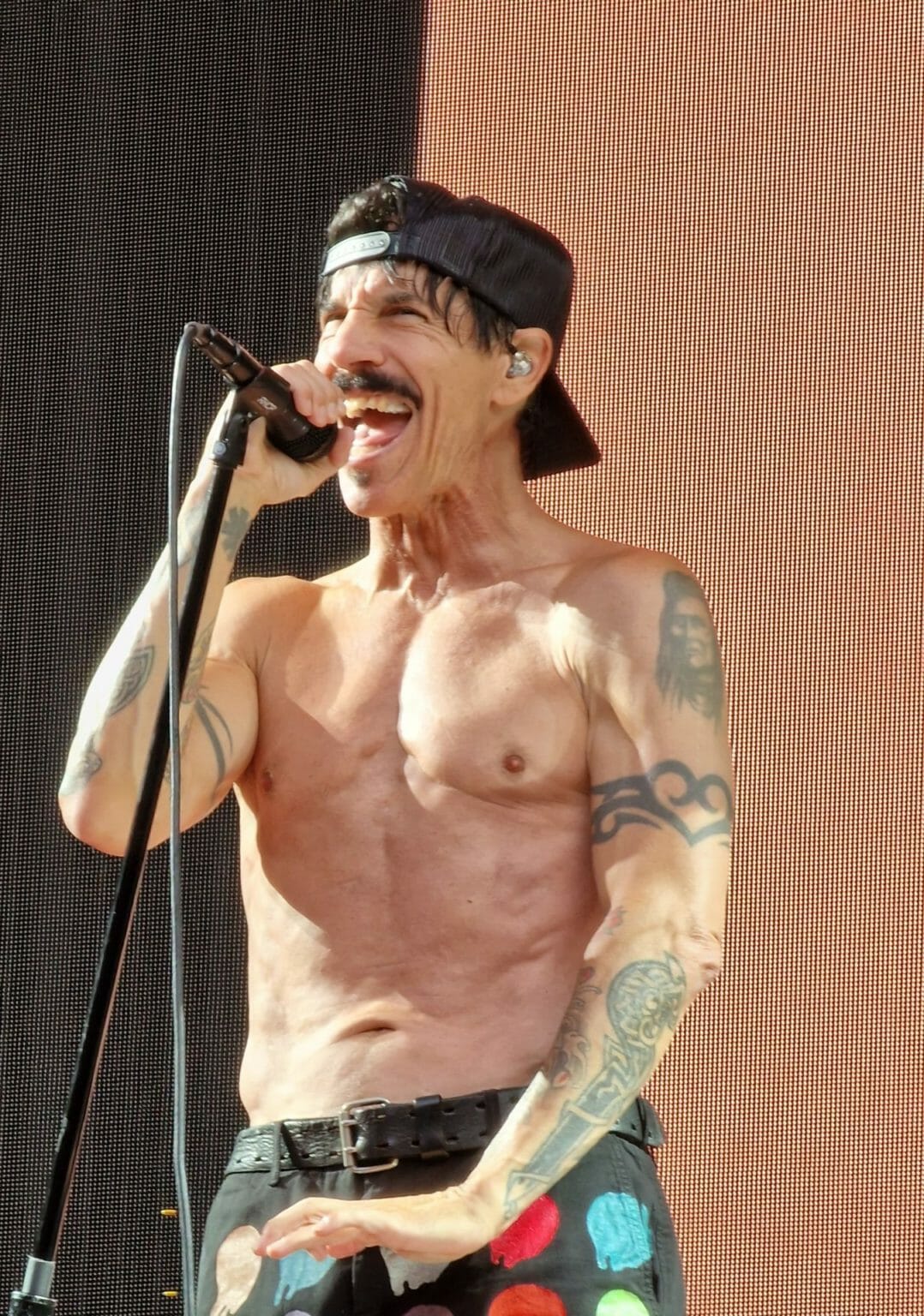 Anthony Kiedis' Net Worth Explored Blood, Sugar, Sex, Money Revised 2024